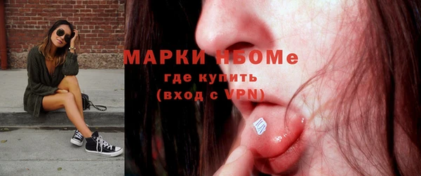 прущие грибы Медвежьегорск