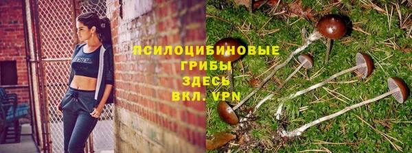 соль ск Михайловск