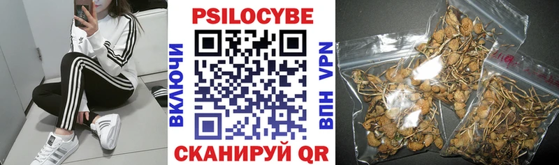Псилоцибиновые грибы Psilocybine cubensis  Комсомольск 